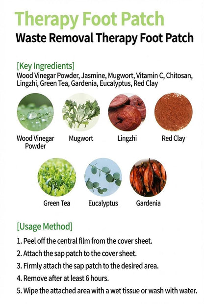 Korea Therapy Foot Patch (Pack of 20)